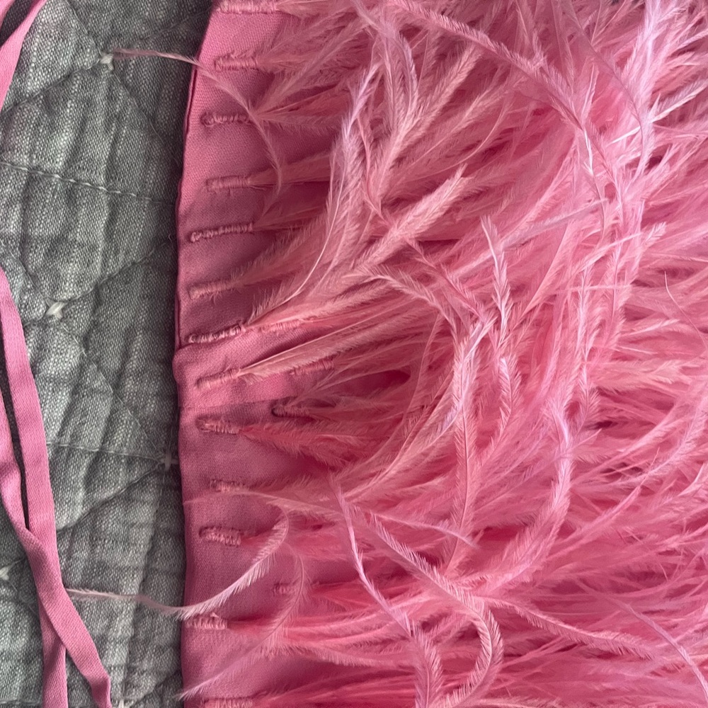 Cult Gaia - Cul
Joey Feather
Feather Top |JOE Top - Picture 10 of 10